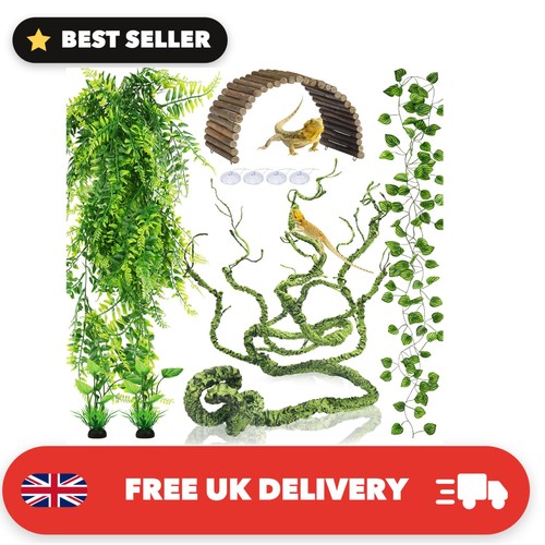 Realistic jungle climber vine - jungle,