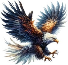 Colourful Hunting Eagle Bird