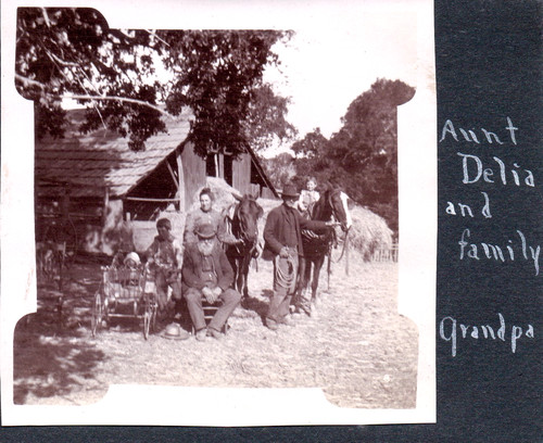 Photograph womens horses coke - photograph,