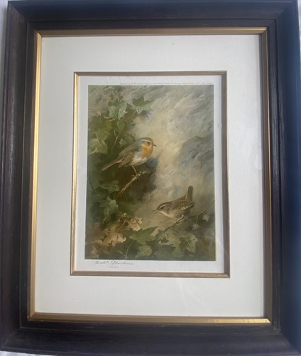 Archibald thorburn - archibald, (1860-1935)