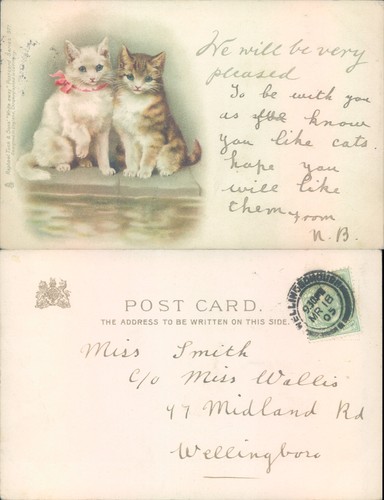 Cats raphael tuck sons - sons, 1905