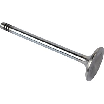 Exhaust valve for - exhaust, aircooled