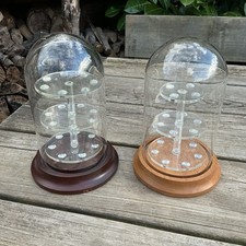 Wood base glass dome - wood,