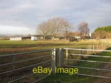 Photo 6x4 No more pigs