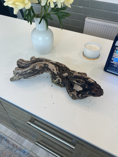Large aquarium driftwood - aquarium,