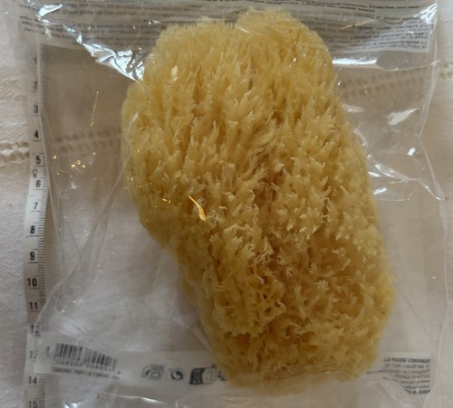 New natural sea sponge - sea,