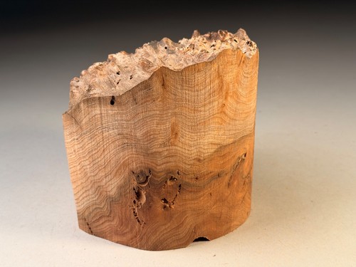 Live edge burr elm - live,