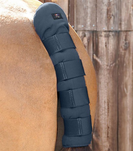 Premier equine stay horse - premier,