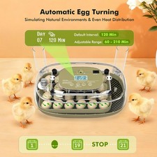 Egg Incubators for Hatching