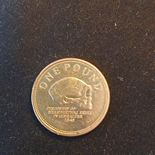 Gibraltar coin 2008 - gibraltar,