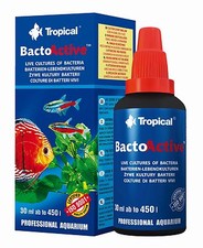 Live Bacteria Tropical