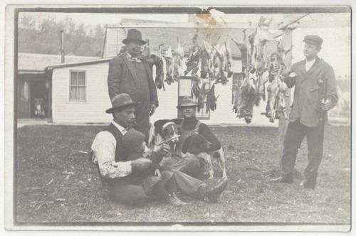 1910 rabbit hunting real - hunting,