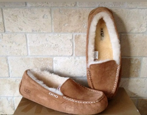 Ugg ansley chestnut suede - ansley,