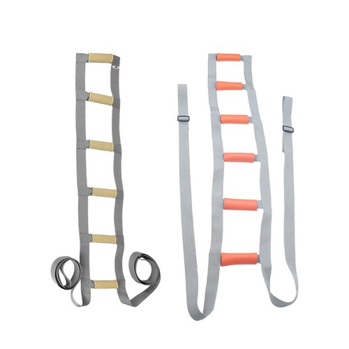 Bed ladder assist - ladder,