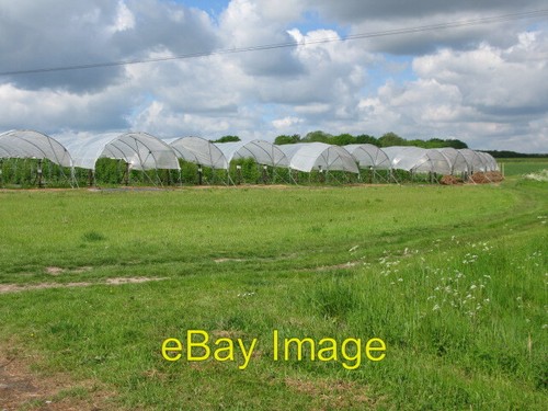 Photo 6x4 polytunnels - polytunnels, on