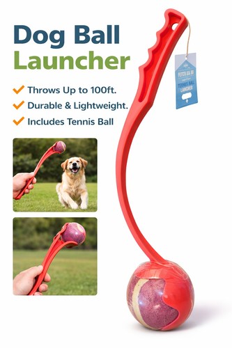 Dog tennis ball - tennis,