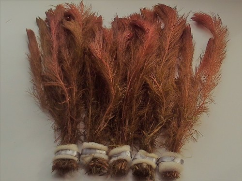 Bunched leaded red - bunched,