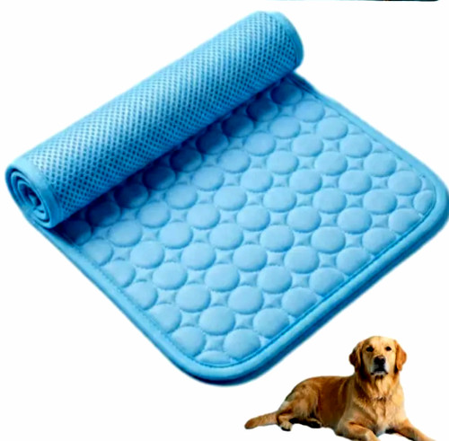 Xxl pet summer - pet, cooling