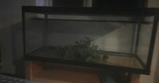 2 vivariums for sale with set up 4ft and 3 ft