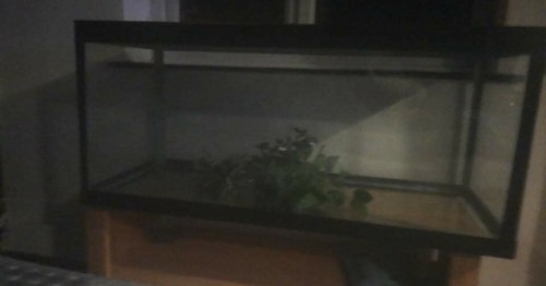 Vivariums for sale with - with, set