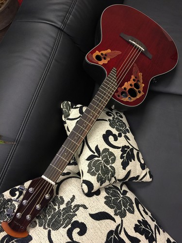Ovation ce44 celebrity - ovation, ce44-rr-g