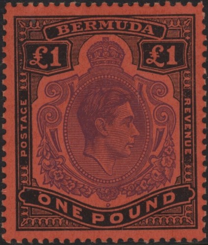 Bermuda george purple - george, £1
