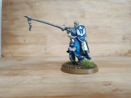 Lotr swan knight - knight, dol