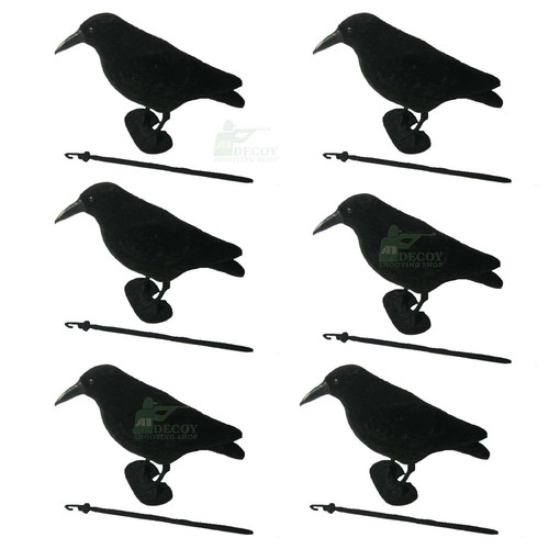 Flocked crow rook raven - 6x,