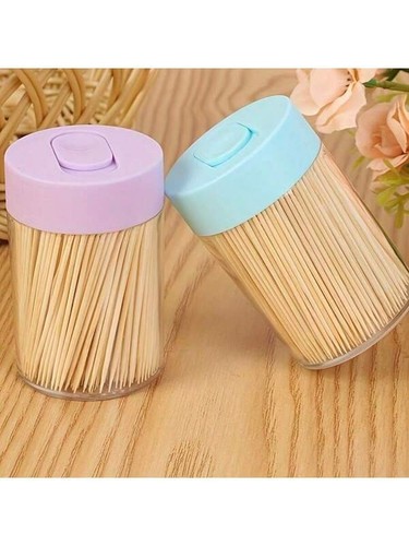 Toothpick holder container - toothpick,