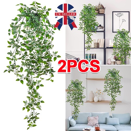 Set hanging plants - of, plants-fake