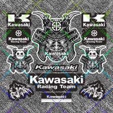Kawasaki Racing Motorcycle