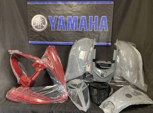 Raptor 700 plastics - 06-26,