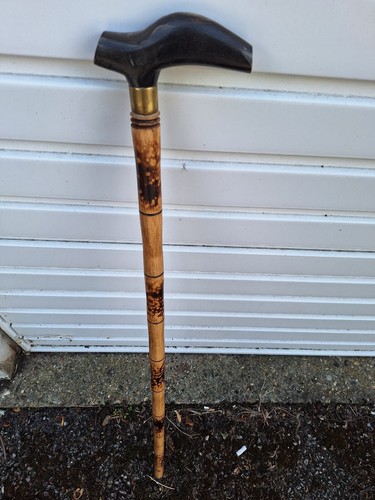 Buffalo horn walking stick - buffalo,
