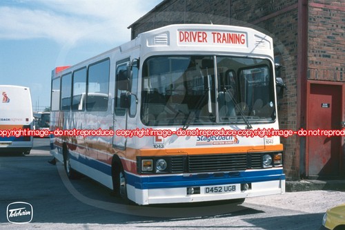 Bus photo sgc - bus,