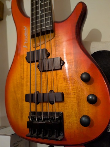 Electric bass guitar - electric,