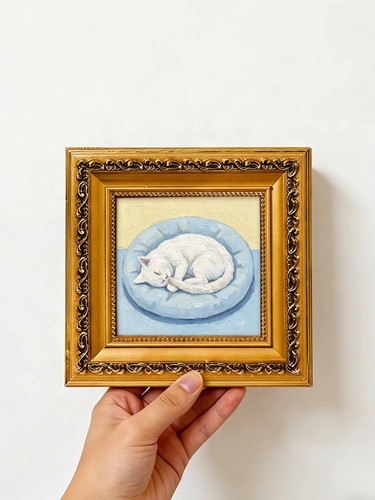 Peaceful white cat - white, on