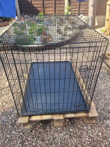 Pets home large dog crate - at,