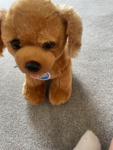 Build bear dog with sound - dog,