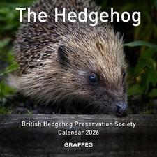 The Hedgehog Calendar 2026 -