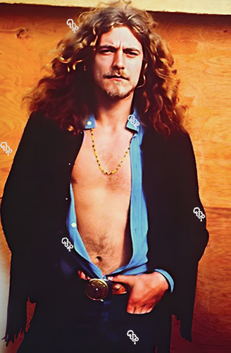 Robert plant led - plant,