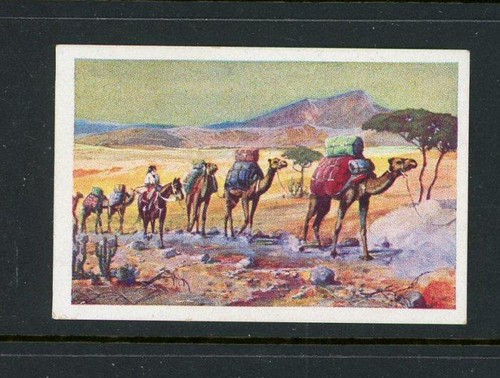 German trade card - german,