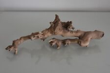 Vivarium, Exo Terra Forest Branch Small Approx 31 x 12 x 7 cms D Reptile Tree