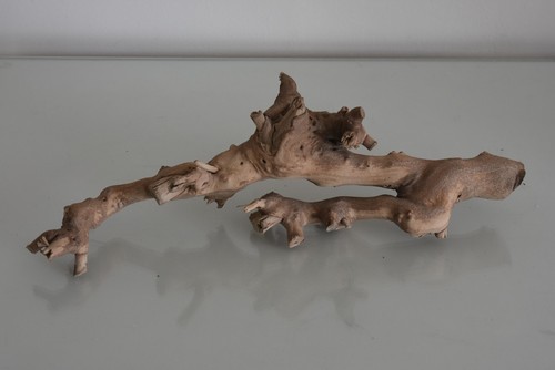 Vivarium exo terra forest - terra,