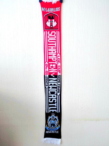 Southampton newcastle - southampton, fc