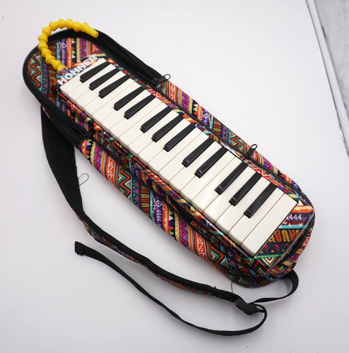 Hohner airboard melodica - hohner,