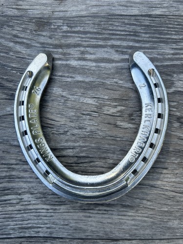 Lucky horseshoe genuine real - horseshoe,