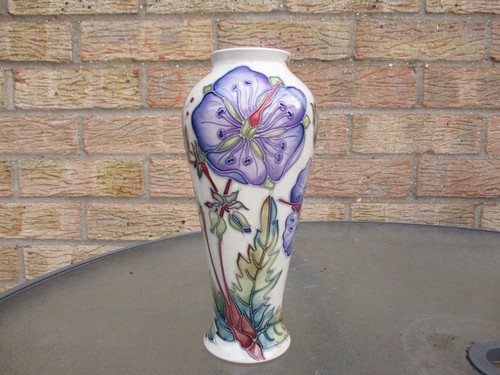 Moorcroft meadow cranesbill - moorcroft,