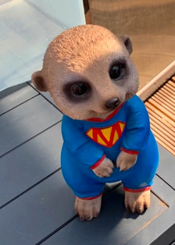 Meerkat plush soft toy - plush,