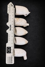 Job Lot 10 Antique Clay Pipe