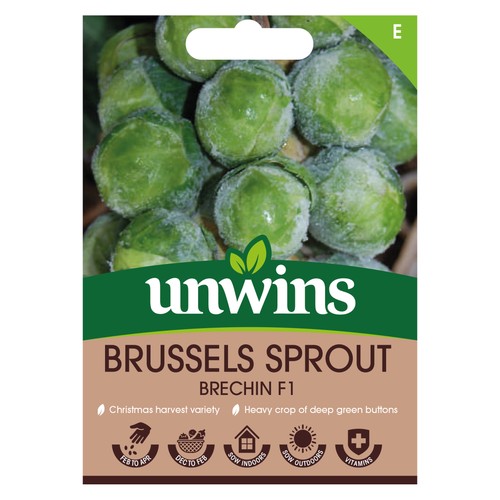 Brussels sprout brechin - brussels,